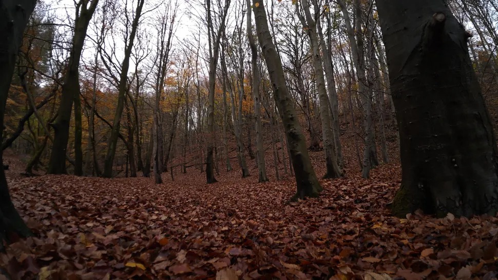 Hình ảnh được giảm nhiễu trên Action 6