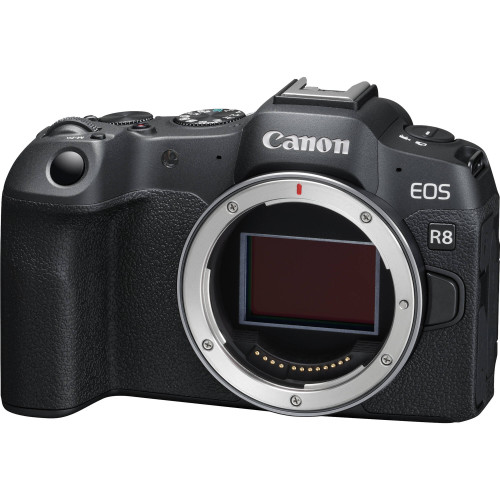 Máy ảnh Canon  EOS R8 (Body)