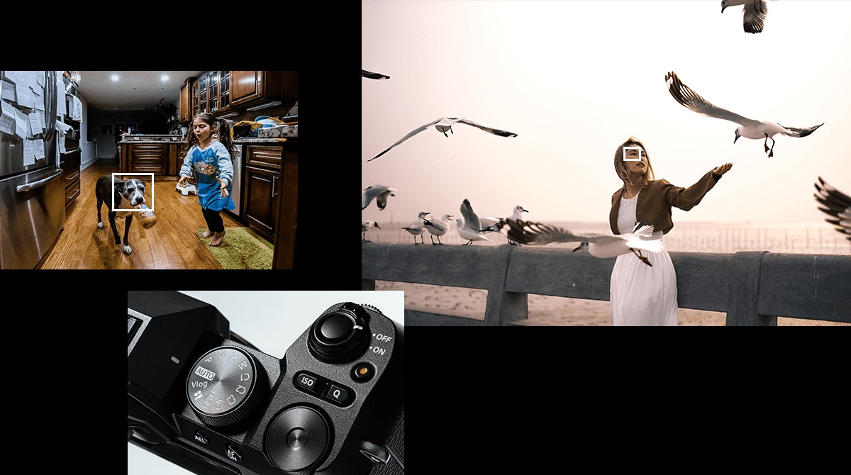Fuji X-S20 cho phép tự động thiết lập cài đặt quay chụp với Auto mode