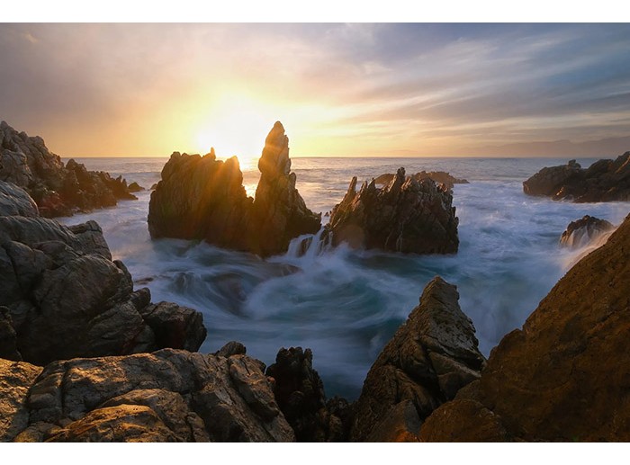 Máy ảnh có thể tự động cân bằng trắng