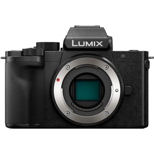 Panasonic Lumix DC-G100 (Body Only)