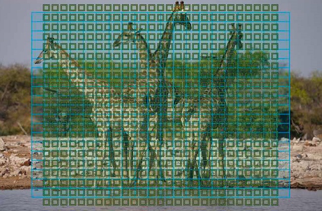 Hệ thống lấy nét tự động AI Hybrid