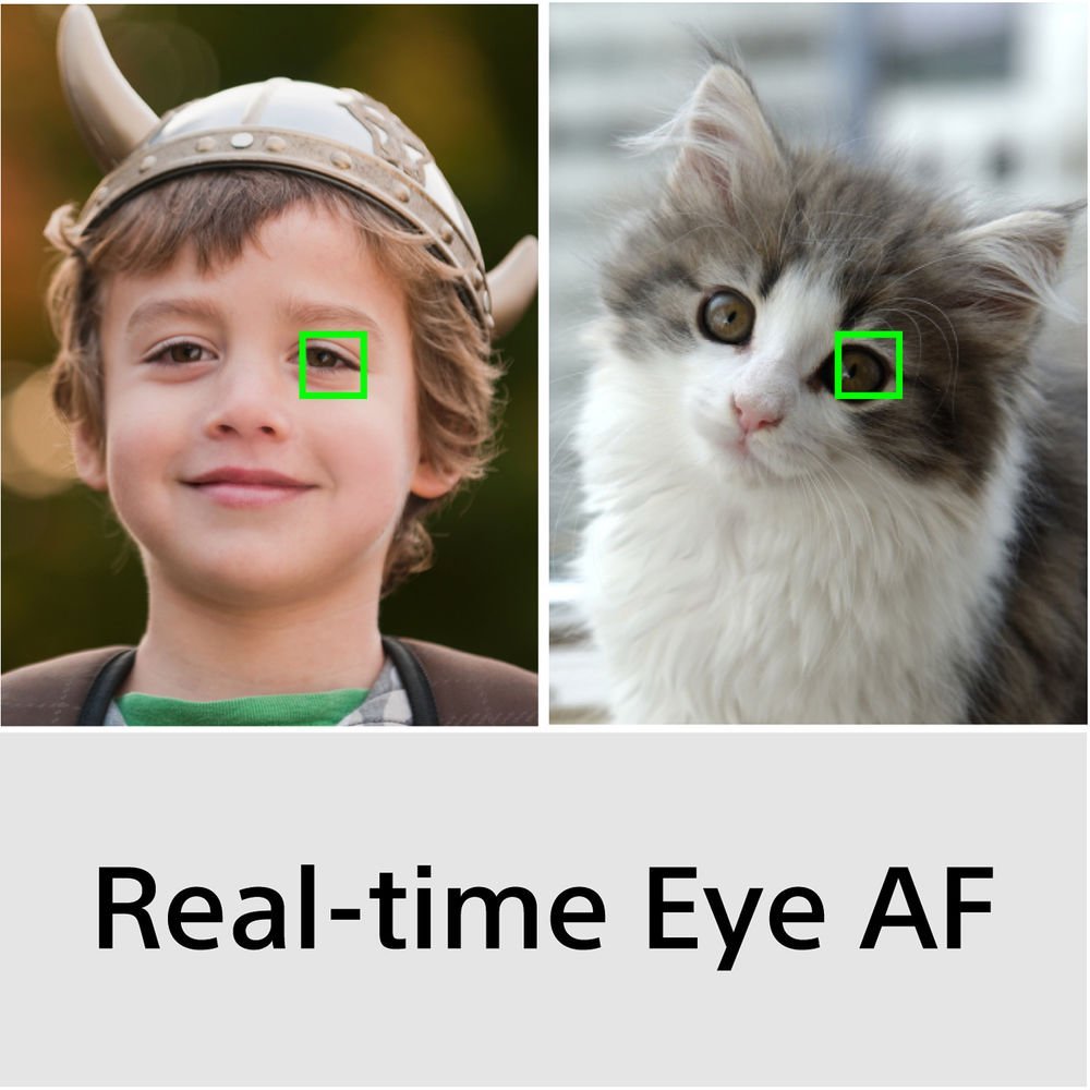 Real-time Eyes AF trên sony alpha a6600