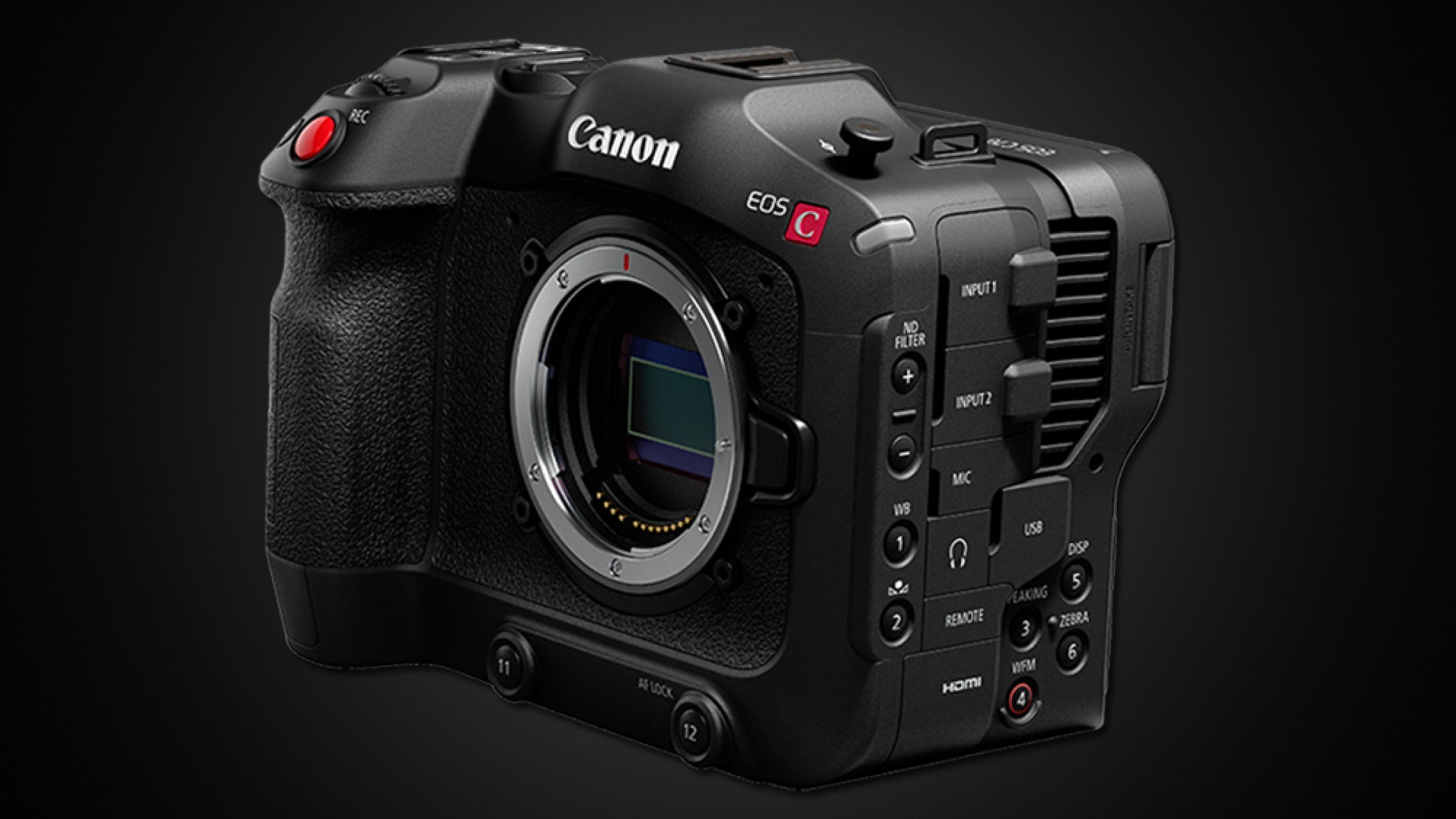 Canon EOS C70 - Bộ xử lý hình ảnh DIGIC DV7