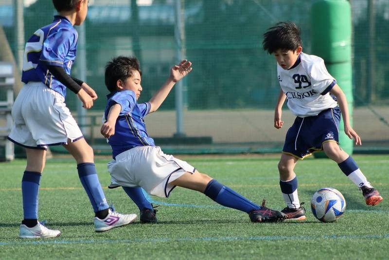 Canon RF 75-300mm F4-5.6 cung cấp khả năng zoom xa lên đến 30mm, thích hợp chụp ảnh thể thao, động vật hoang dã.