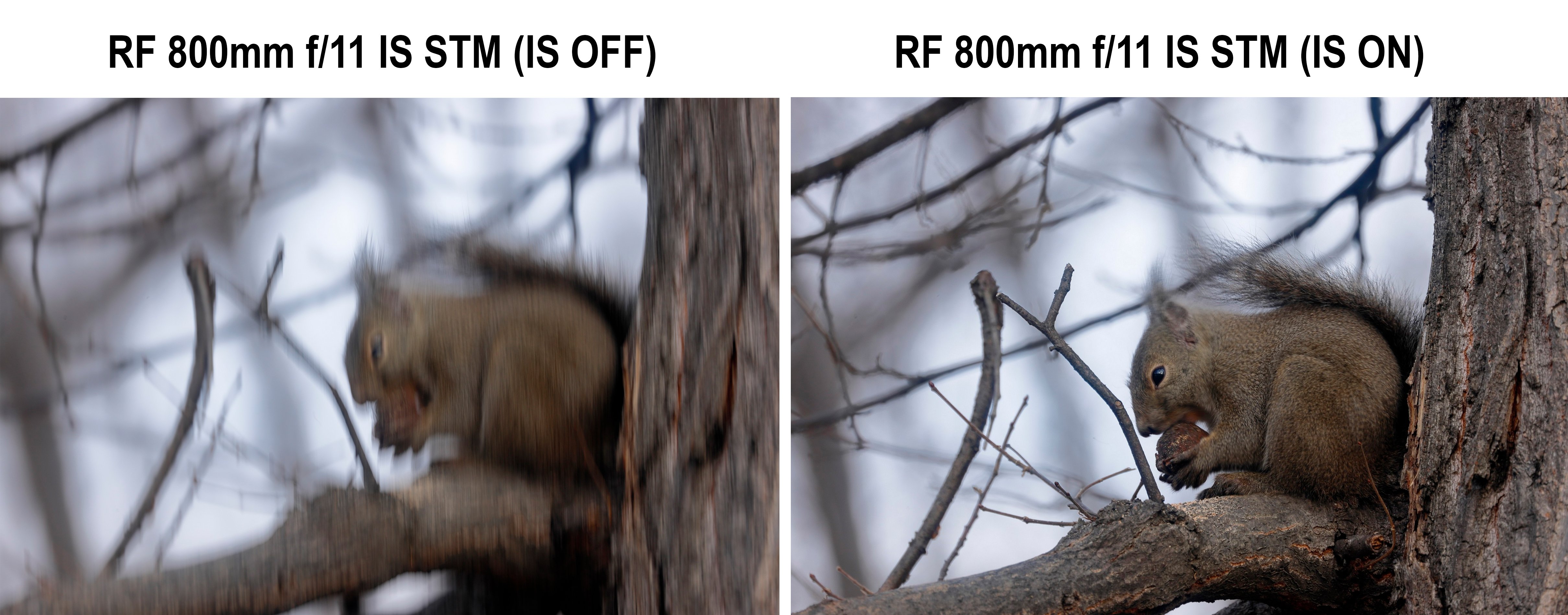 Ống kính Canon RF 800mm f11 IS STM - Chống rung quang học