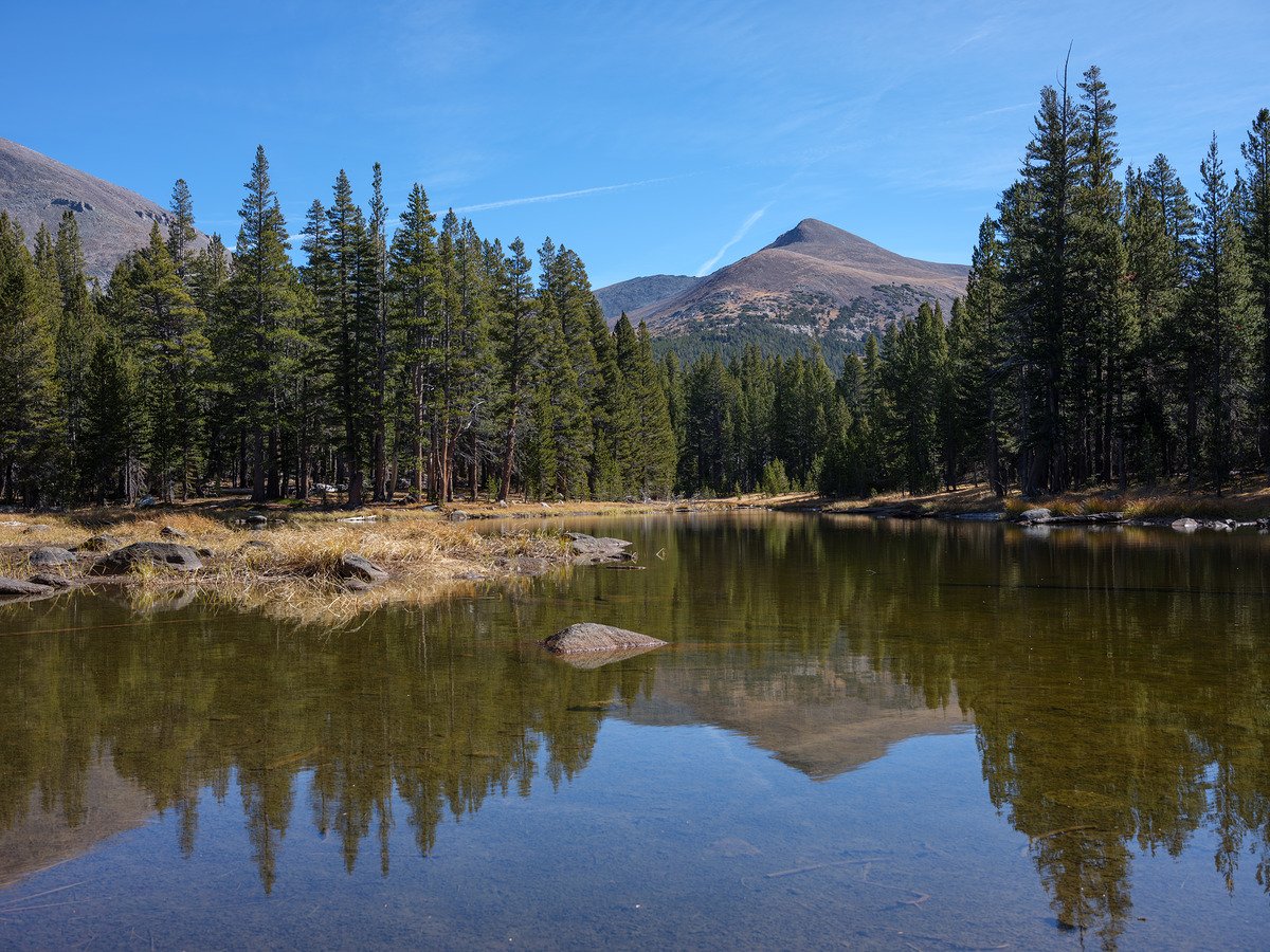 Ảnh thực tế Fujifilm GF 50mm f3.5 từ tiêu cự 50 mm, 1/60 sec, f/11, ISO 100