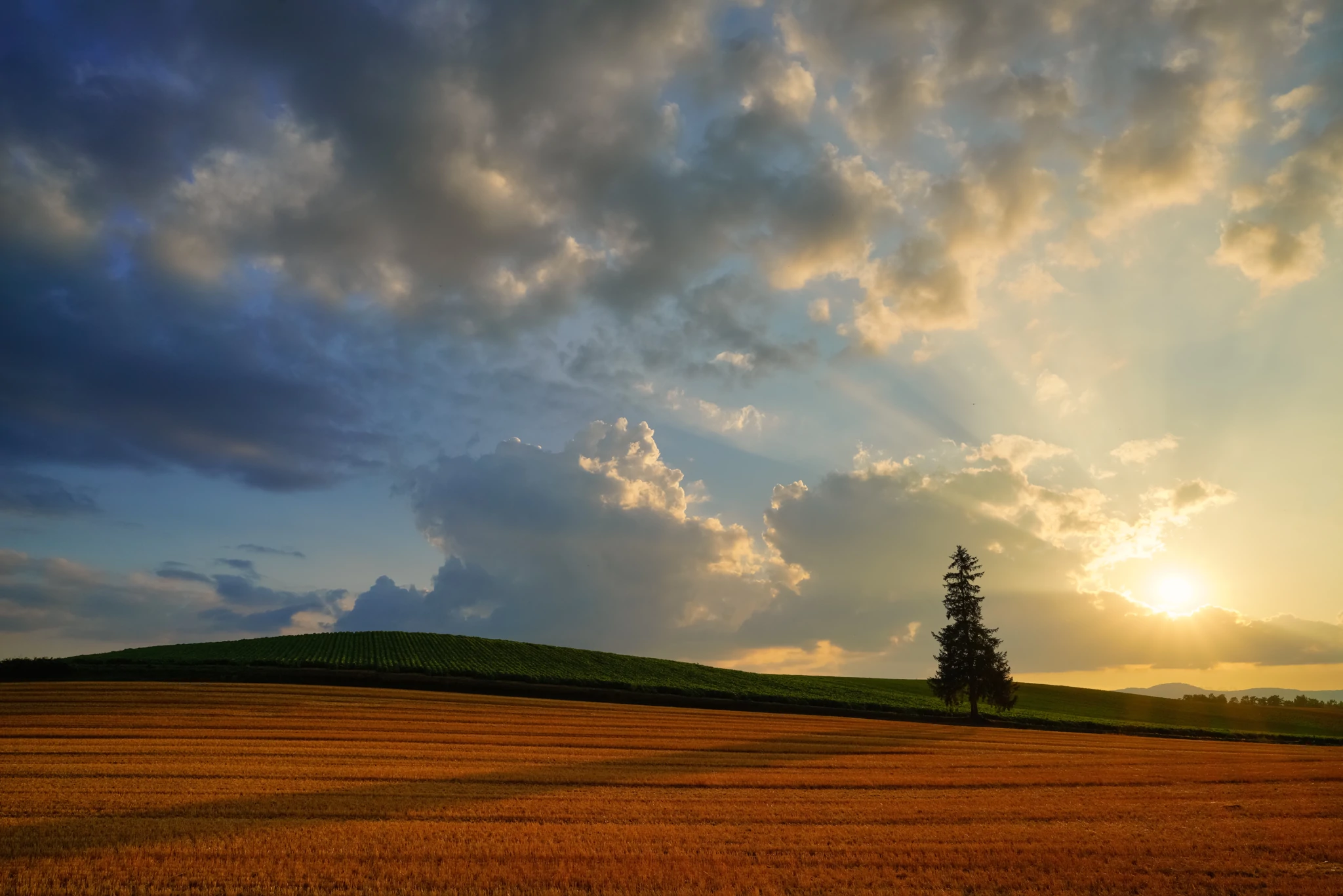 Sigma 24mm F/2 DG DN mang lại chất lượng quang học rõ nét hiệu quả