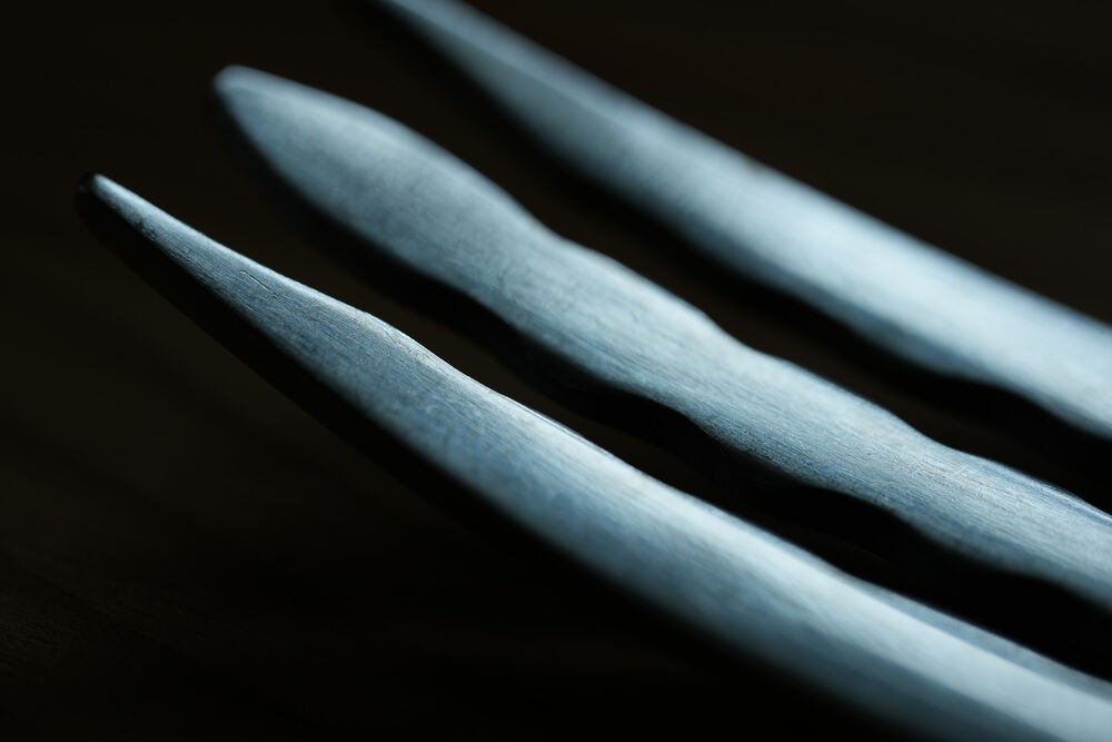 Sony FE 100mm F2.8 Macro GM OSS: Ống k&iacute;nh chụp cận cảnh n&acirc;ng cao