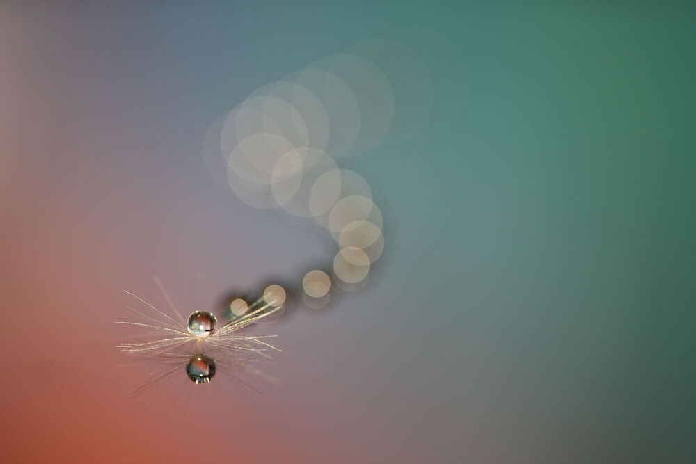 Chất lượng quang học chuẩn G Master