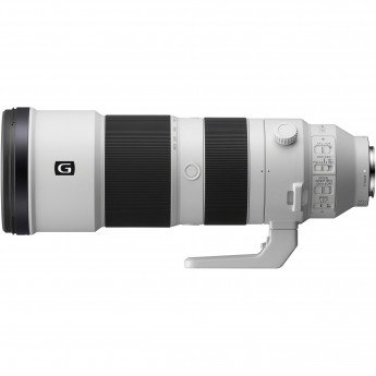 SONY FE 200-600mm F5.6-6.3 G OSSWHITEレンズマウントタイプ - その他