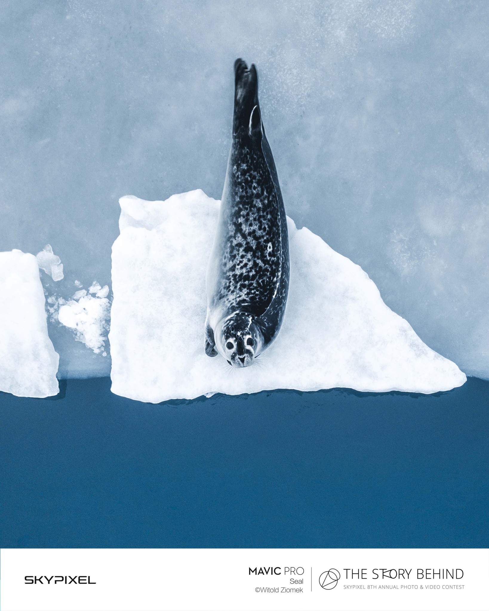 18 Bức Ảnh Đẹp Nhất Được Ghi Lại Bằng Flycam DJI Tại Cuộc Thi SkyPixel 10