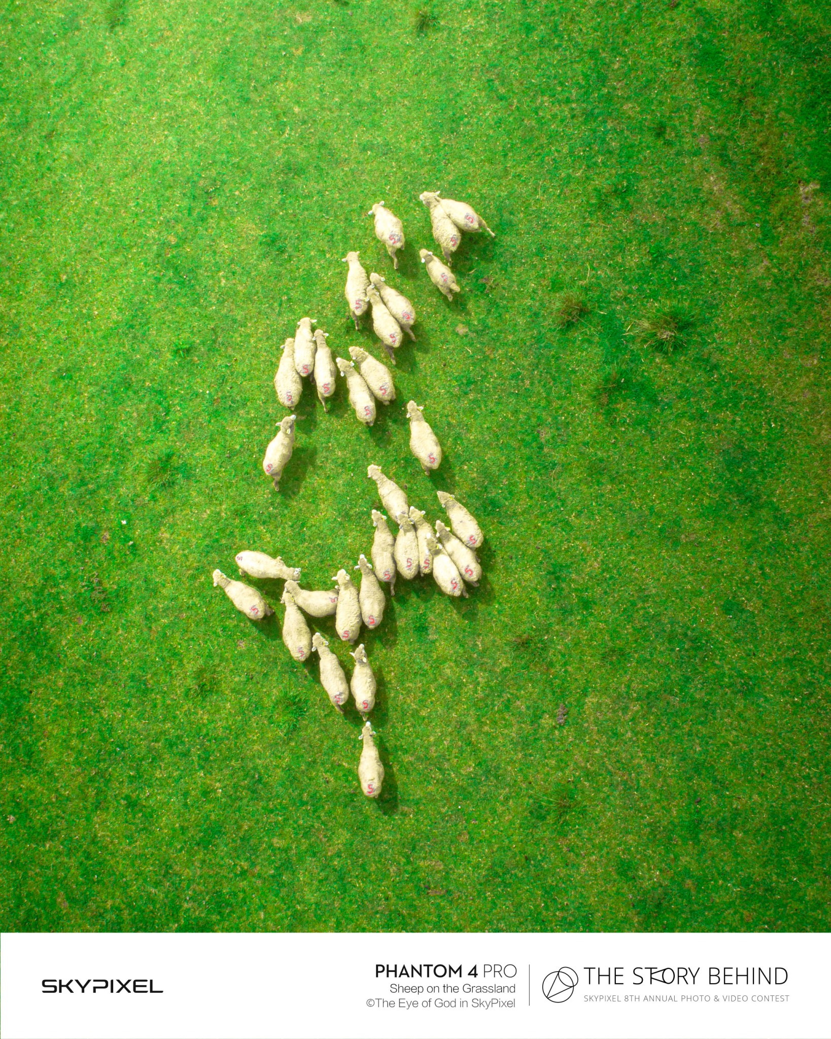 18 Bức Ảnh Đẹp Nhất Được Ghi Lại Bằng Flycam DJI Tại Cuộc Thi SkyPixel 11