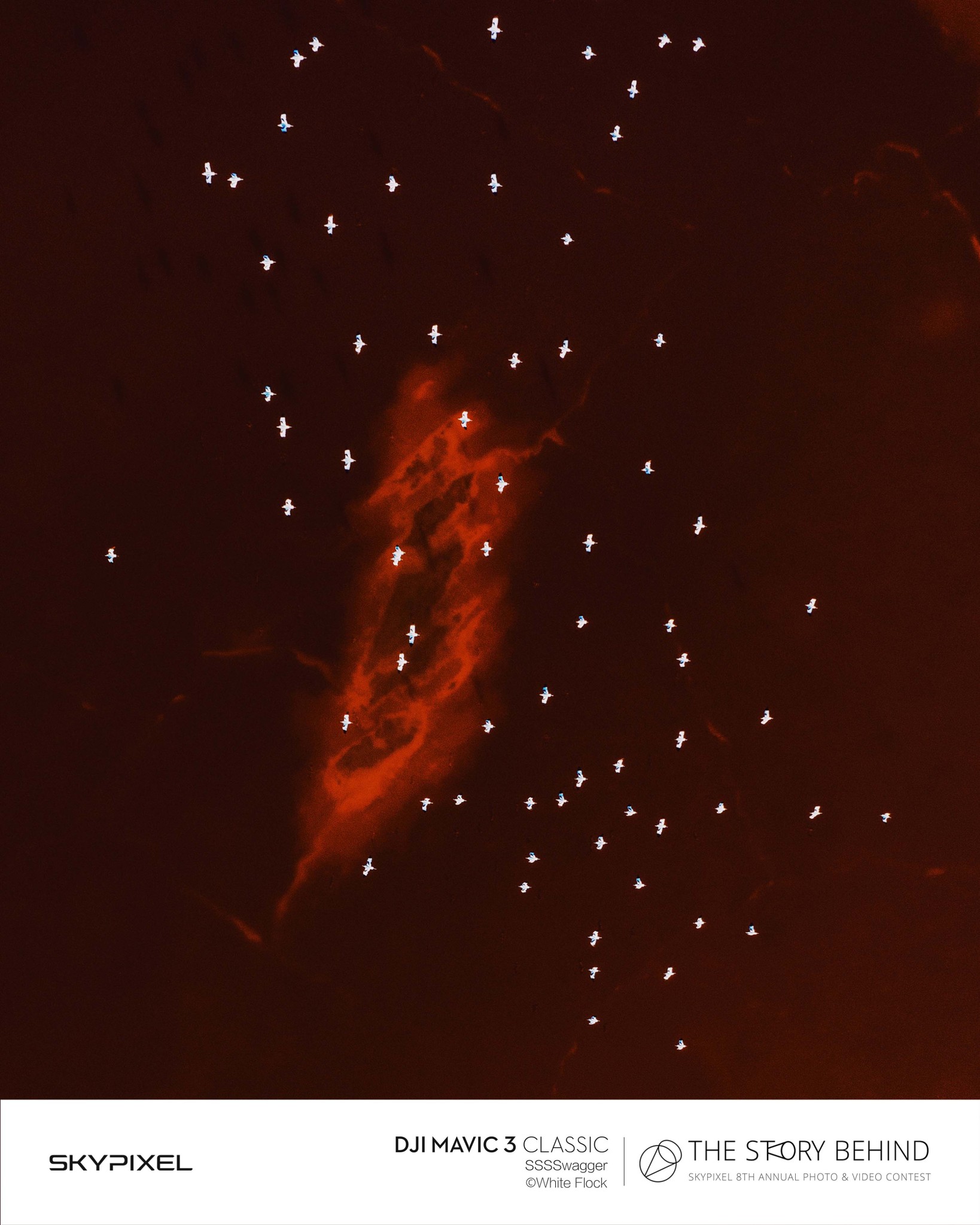 18 Bức Ảnh Đẹp Nhất Được Ghi Lại Bằng Flycam DJI Tại Cuộc Thi SkyPixel 12