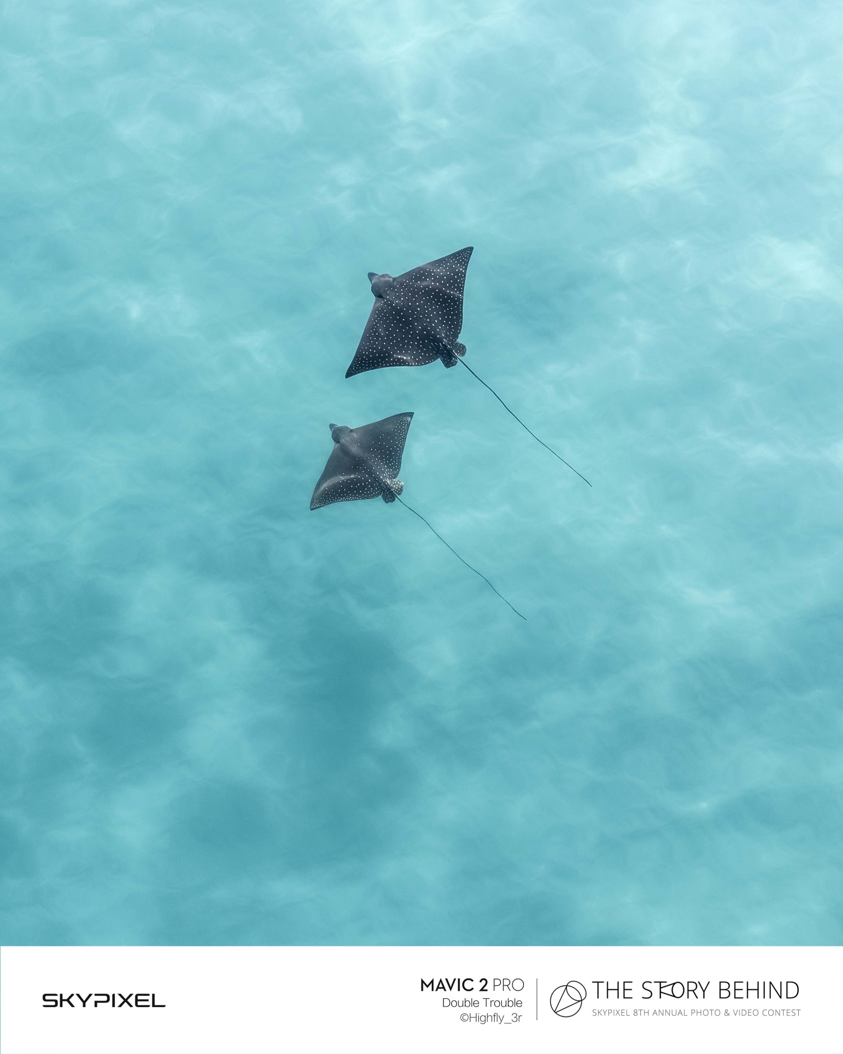 18 Bức Ảnh Đẹp Nhất Được Ghi Lại Bằng Flycam DJI Tại Cuộc Thi SkyPixel 14