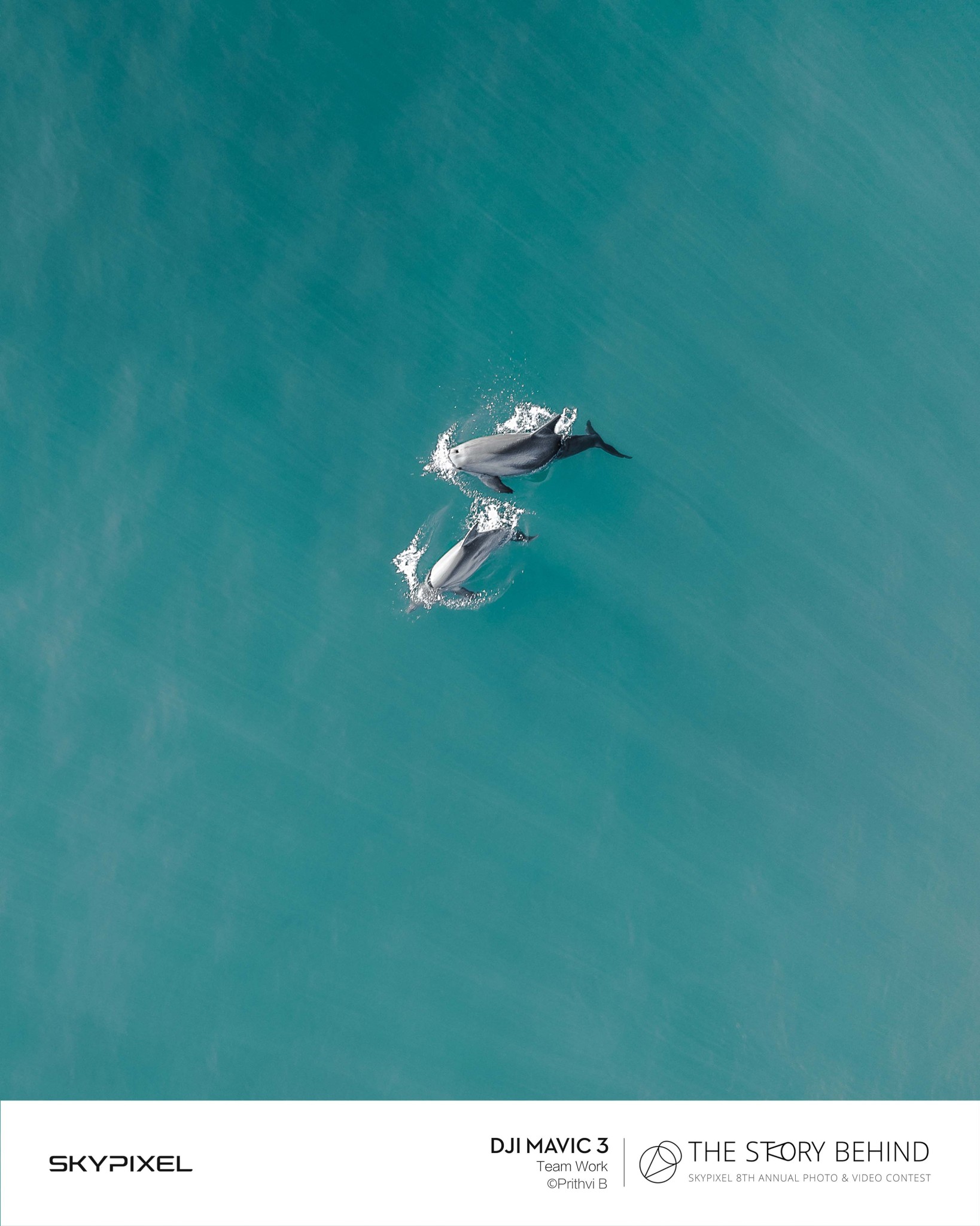 18 Bức Ảnh Đẹp Nhất Được Ghi Lại Bằng Flycam DJI Tại Cuộc Thi SkyPixel 16