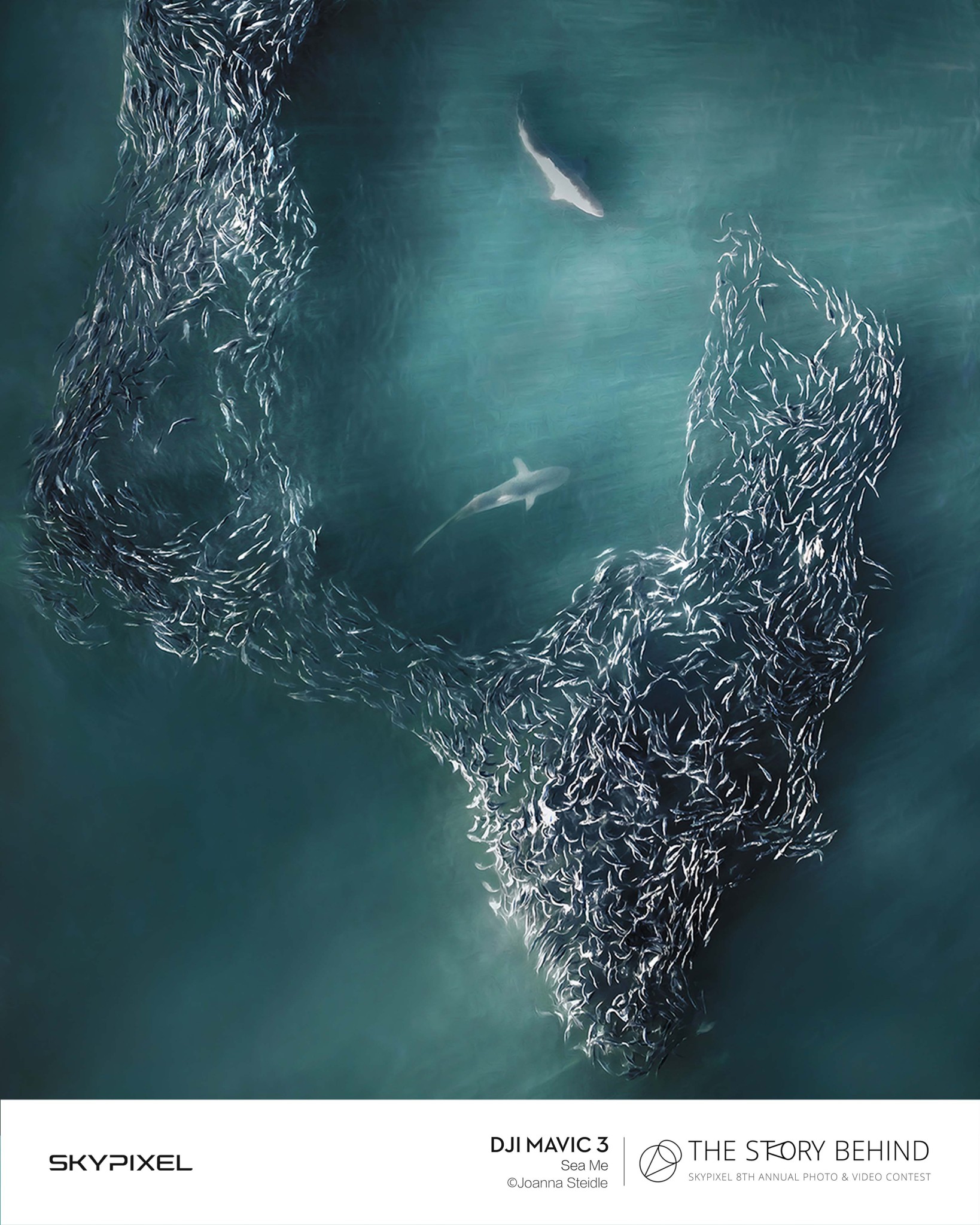 18 Bức Ảnh Đẹp Nhất Được Ghi Lại Bằng Flycam DJI Tại Cuộc Thi SkyPixel 17