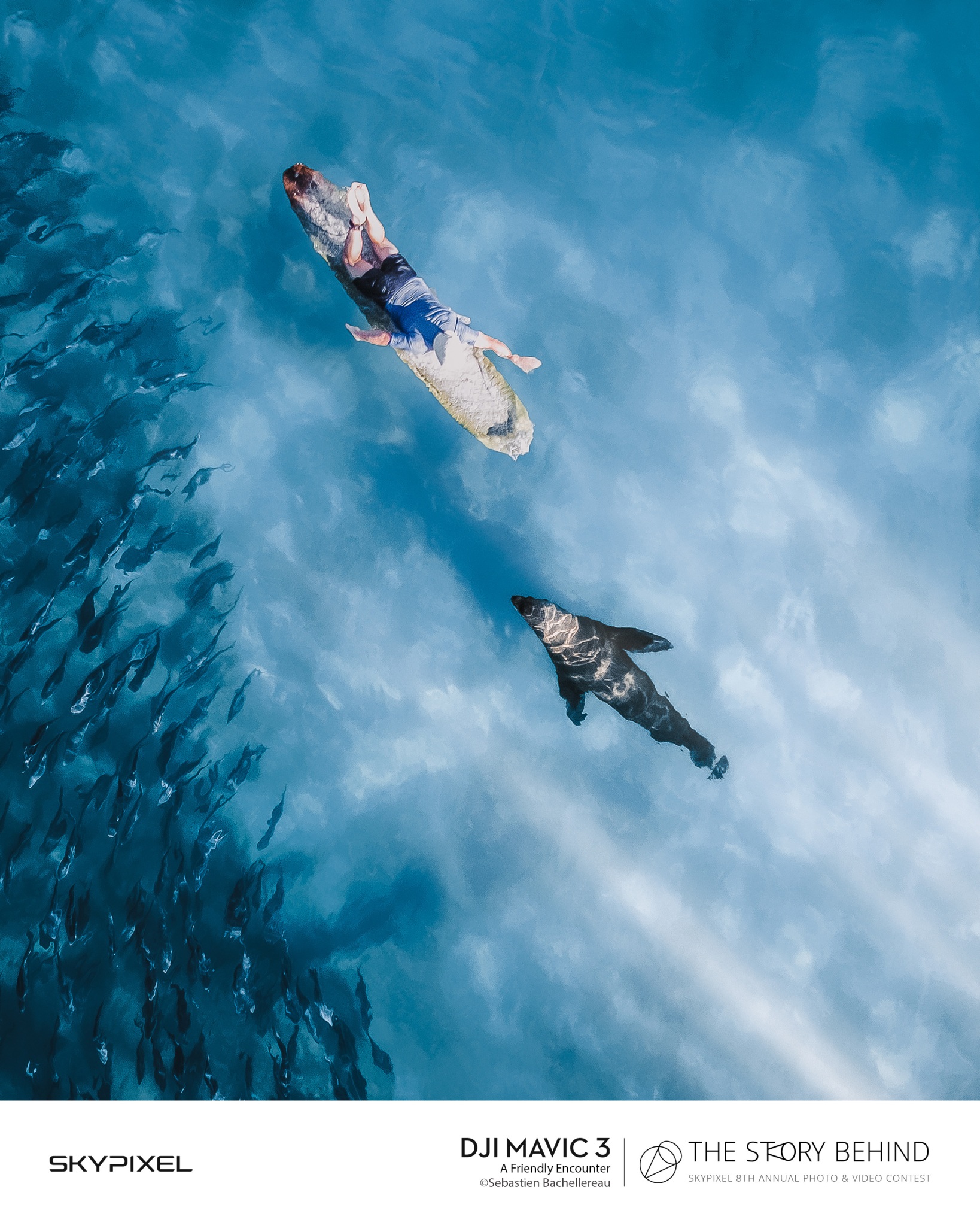 18 Bức Ảnh Đẹp Nhất Được Ghi Lại Bằng Flycam DJI Tại Cuộc Thi SkyPixel 6