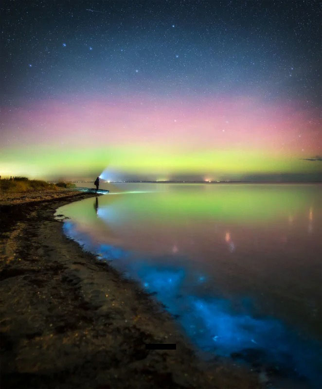 “Aurora and Bioluminescent Algae in Denmark” của Ruslan Merzlyakov