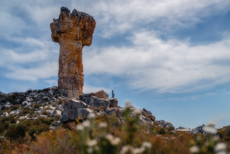 Tạo điểm neo thị giác để ổn định tổng thể khung hình