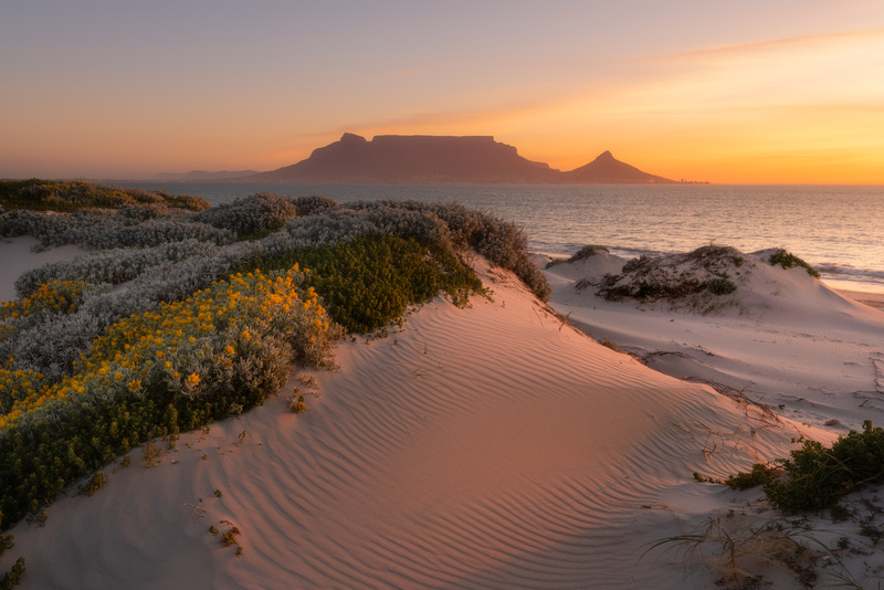 Khai thác sức mạnh chiều dọc của khung hình