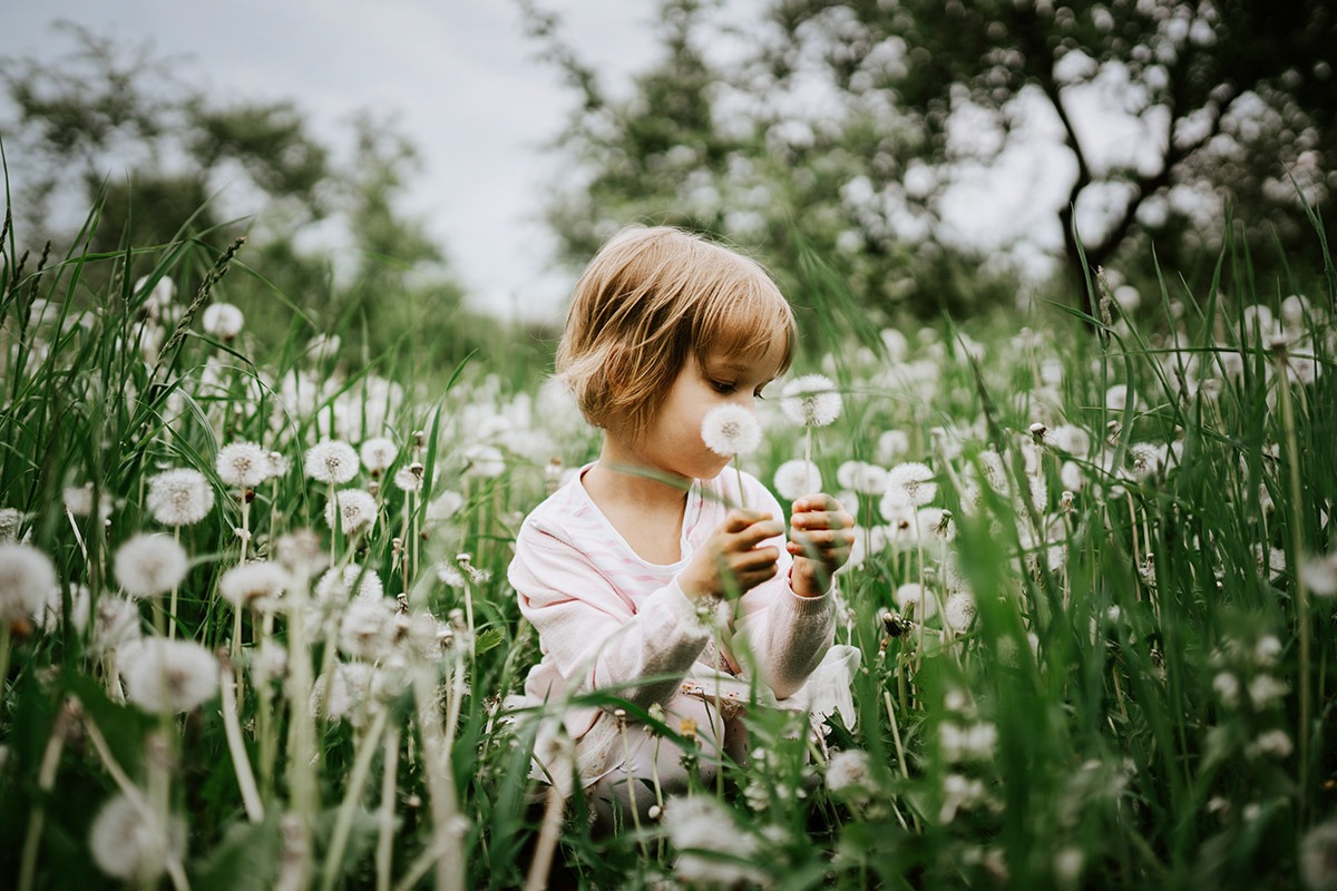 Mờ viền mang lại hiệu ứng thị giác đặc biệt