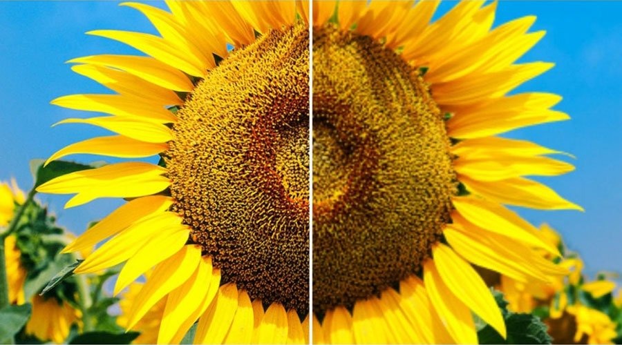 Tăng độ sắc nét mang lại cảm giác đã mắt hơn