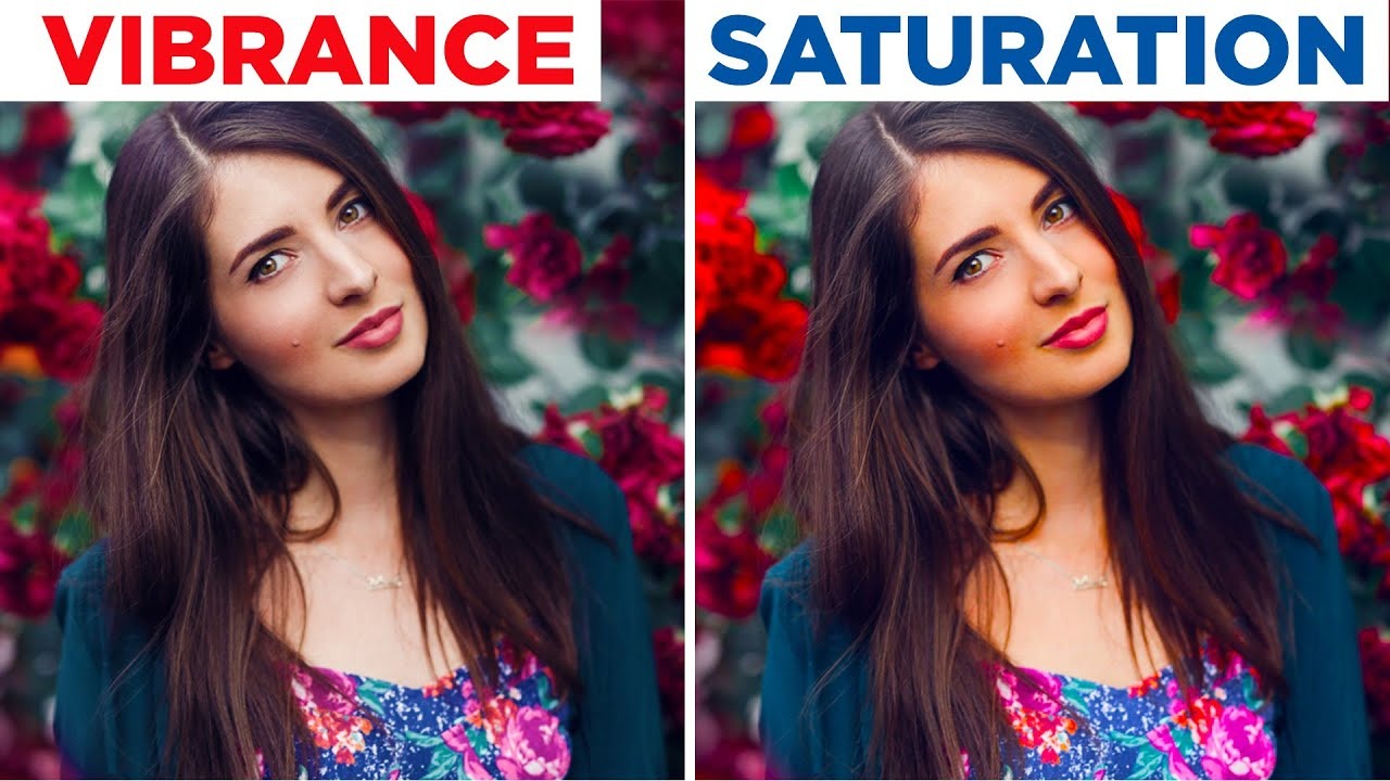 Sự khác biệt giữa Vibrance và Saturation