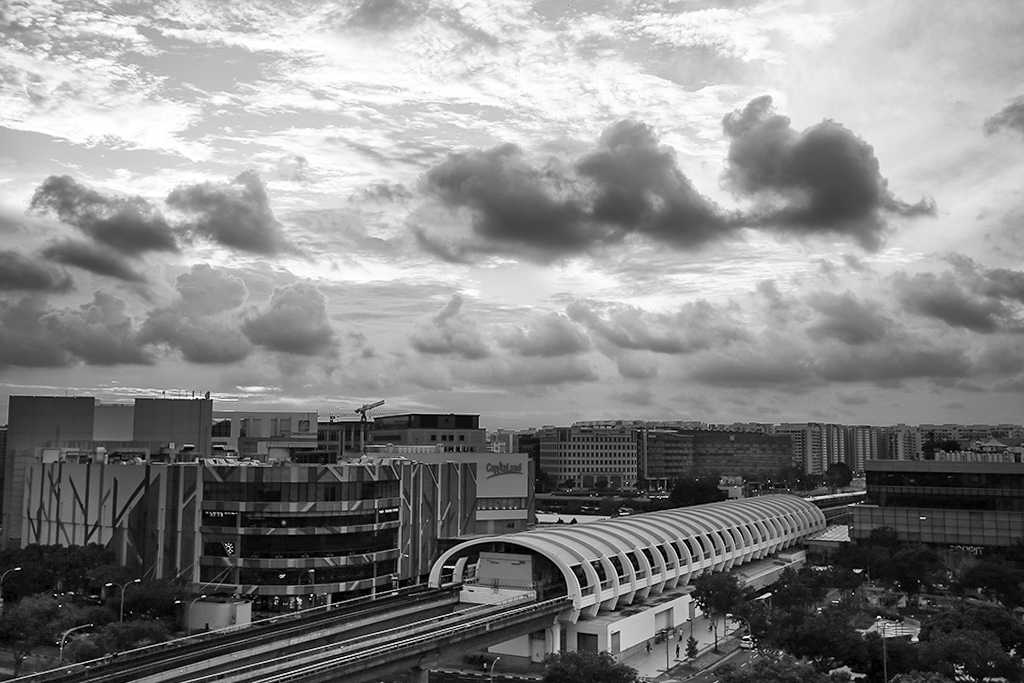 Monochrome chuyên dùng cho ảnh đen trắng