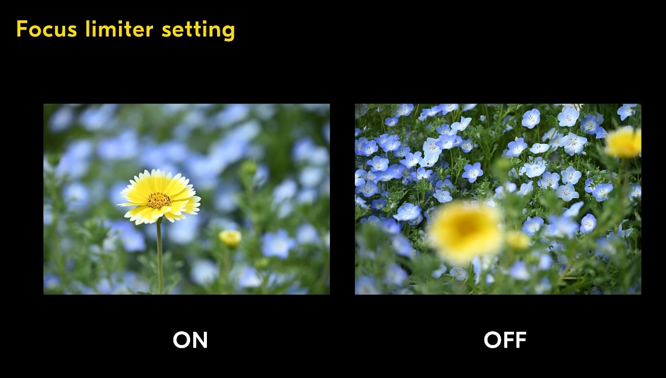 Giới hạn lấy nét giúp AF phản hồi nhanh hơn