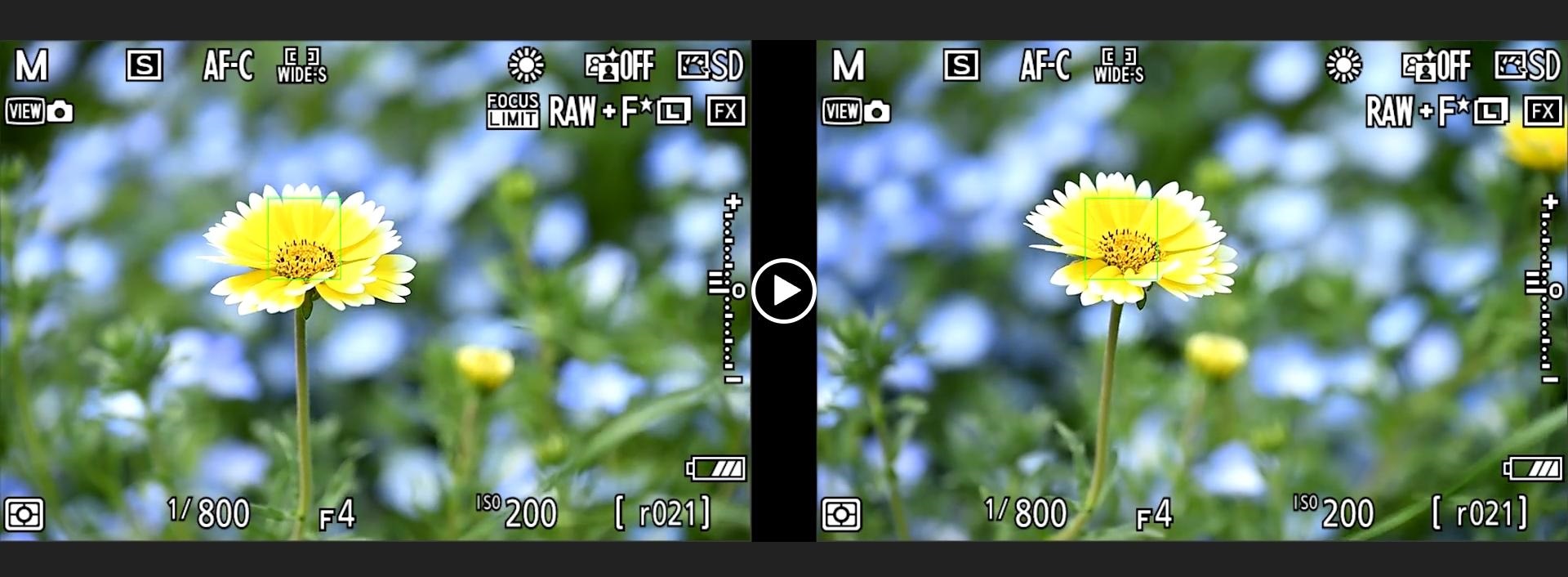 Bản cập nhật Nikon Z8 Firmware mới nhất