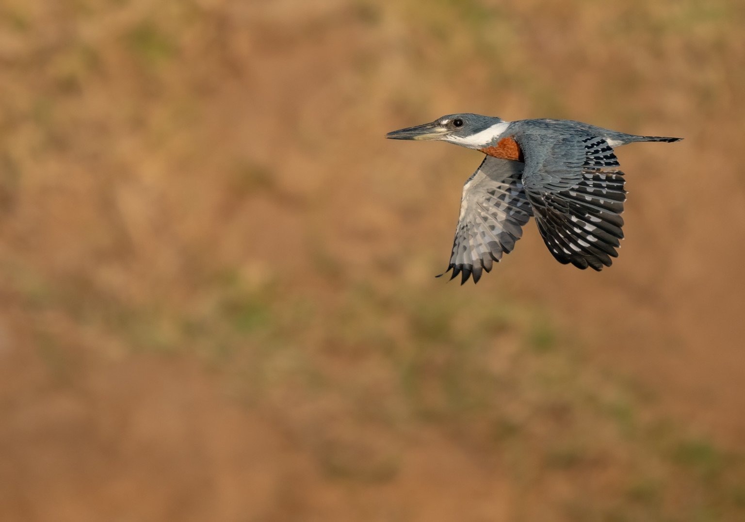 Hiểu rõ chế độ lấy nét Single AF và Continuous AF