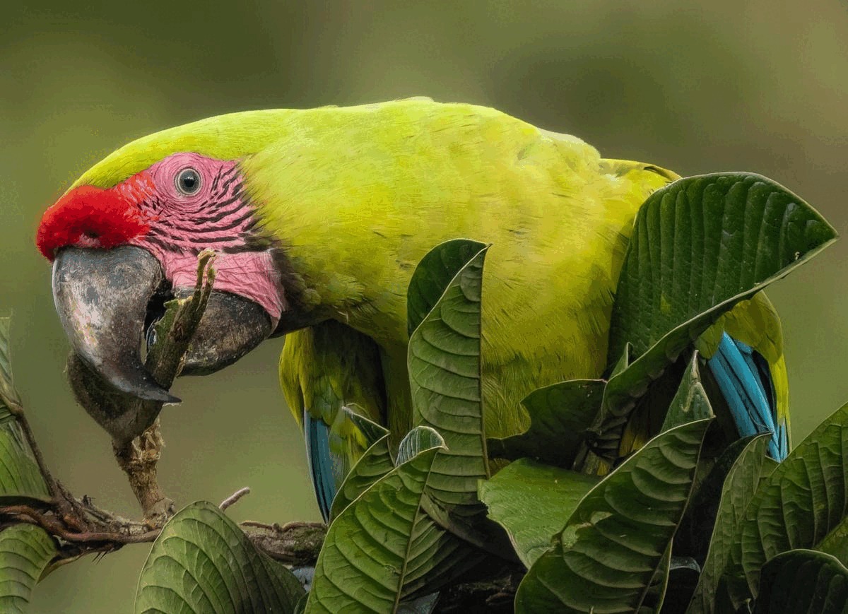 Chụp chân dung để tập trung vào chủ thể hơn