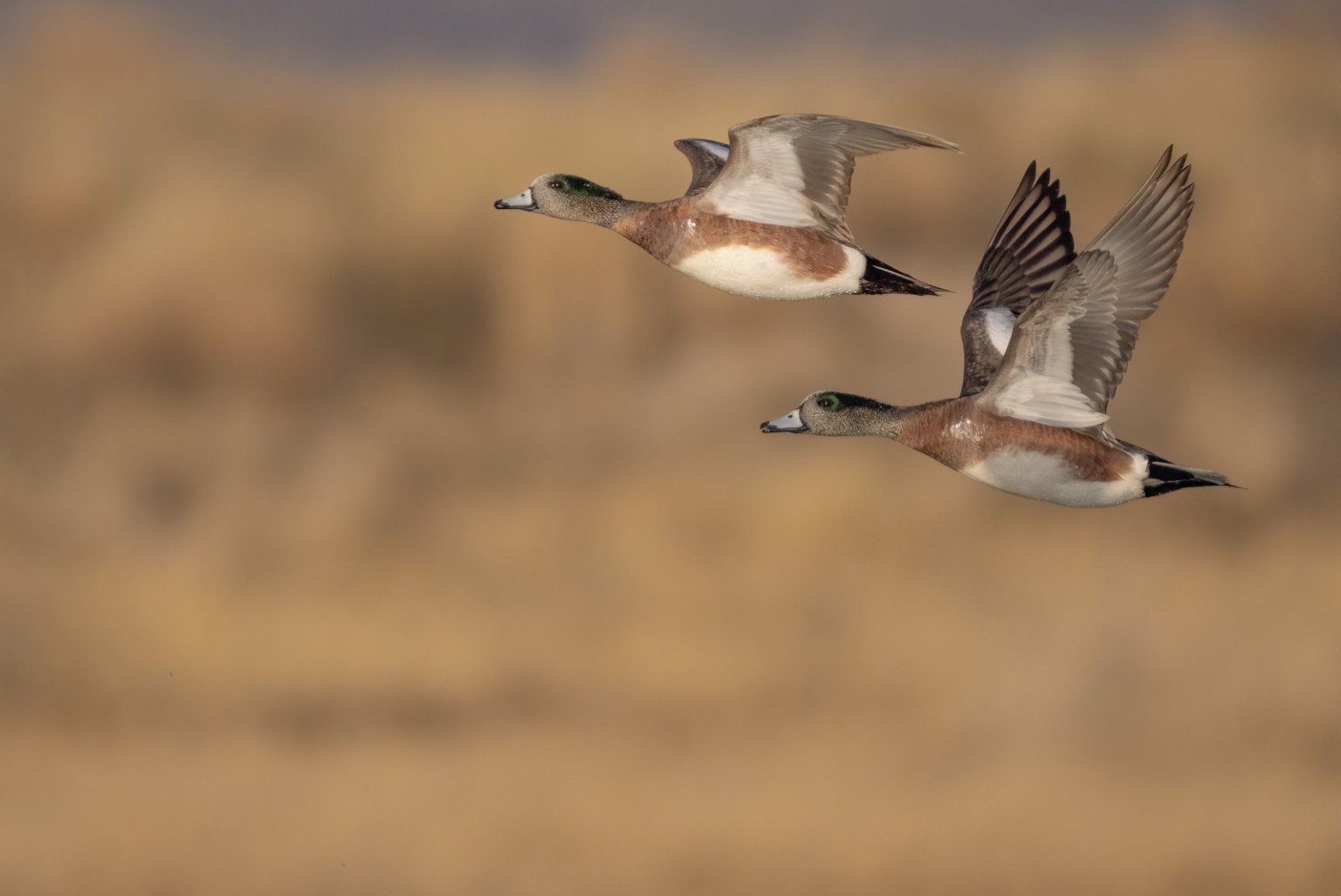 Sử dụng tốc độ màn trập thấp trong điều kiện thiếu sáng