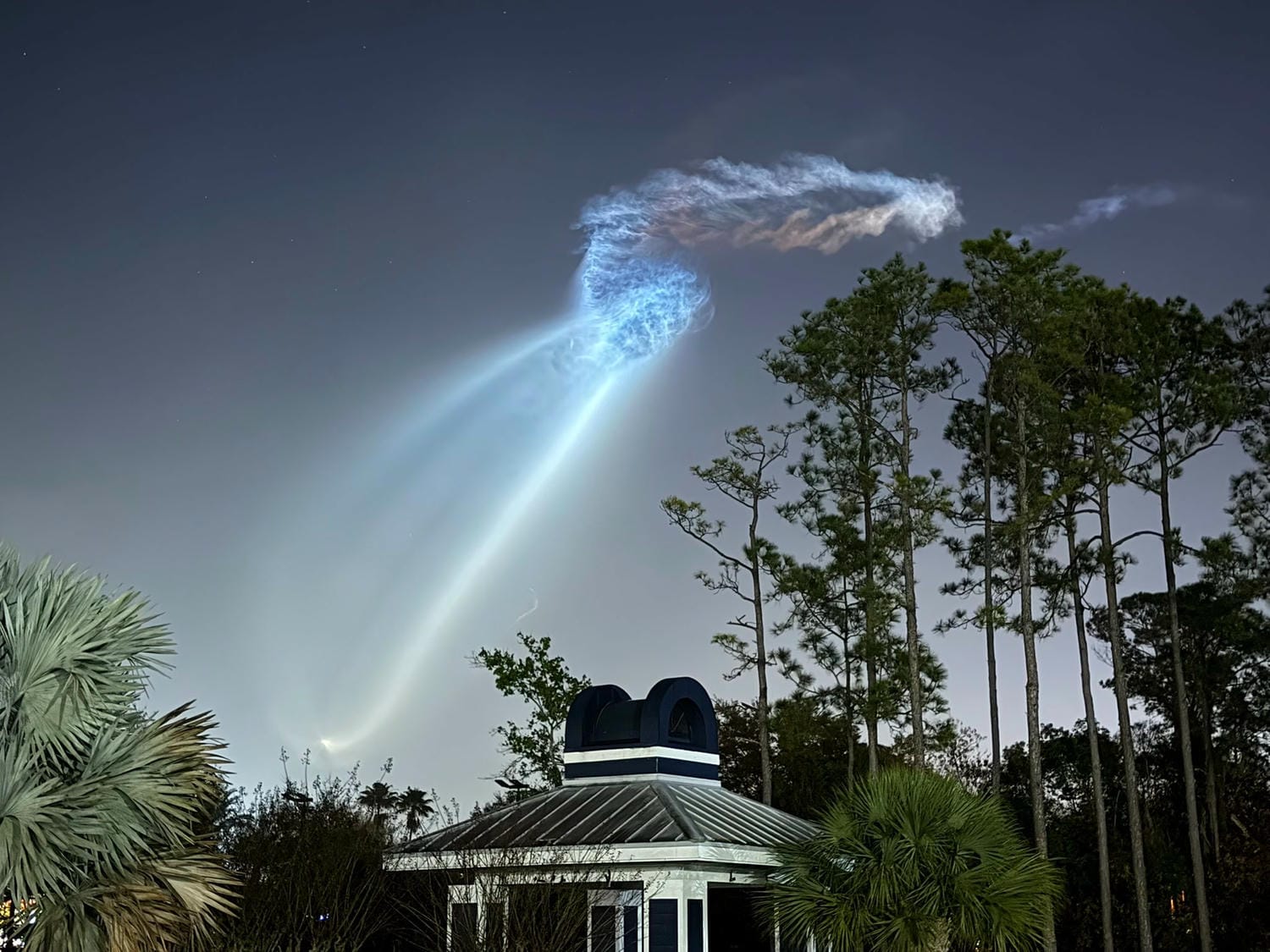 Hình ảnh sứa vũ trụ được ghi lại tại Orlando