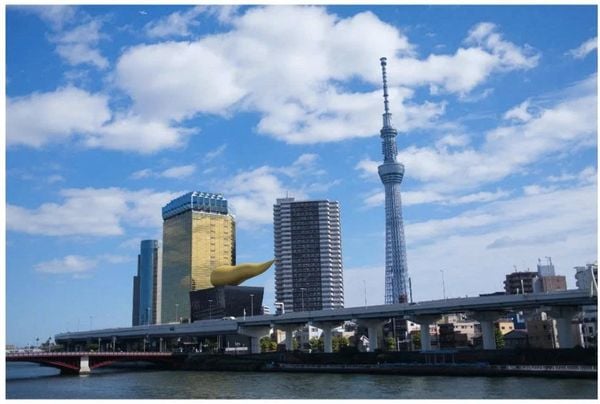 Provia là profile thiên về color fidelity và tonal balance