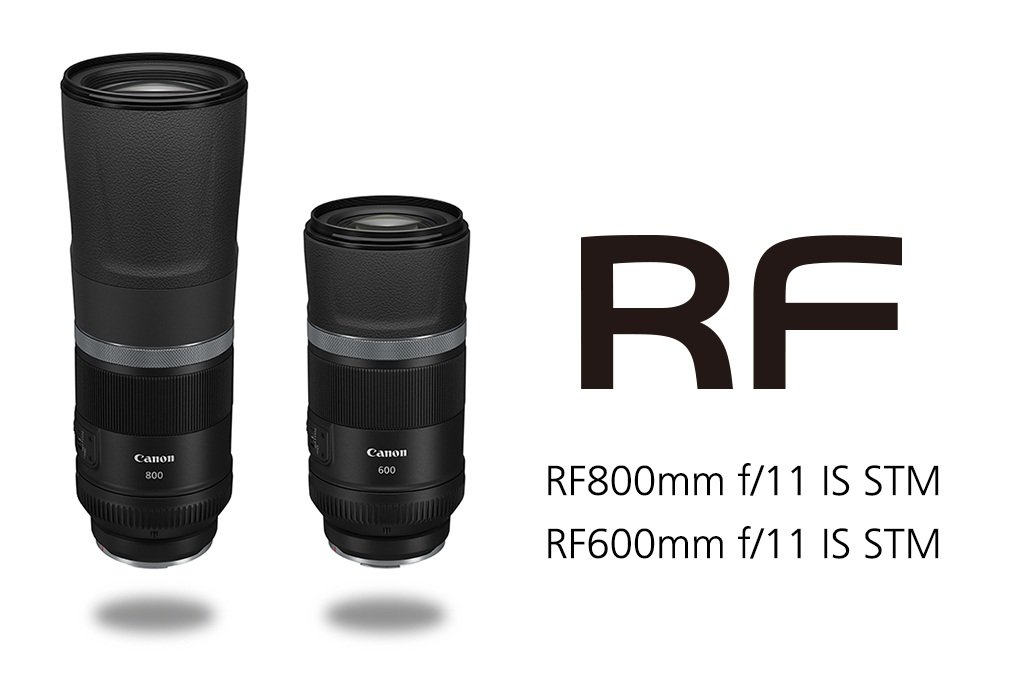 Canon RF 600mm f11 STM và 800mm f11 STM