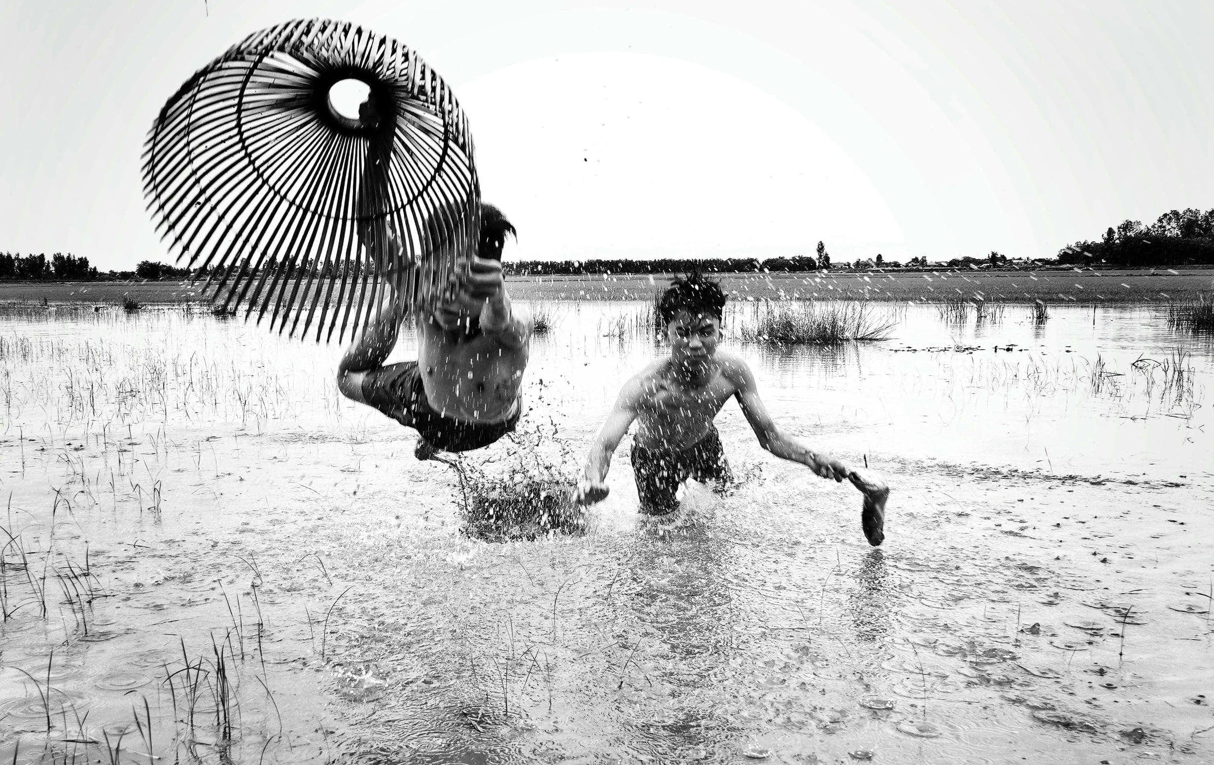 Net Fish in Water Fields