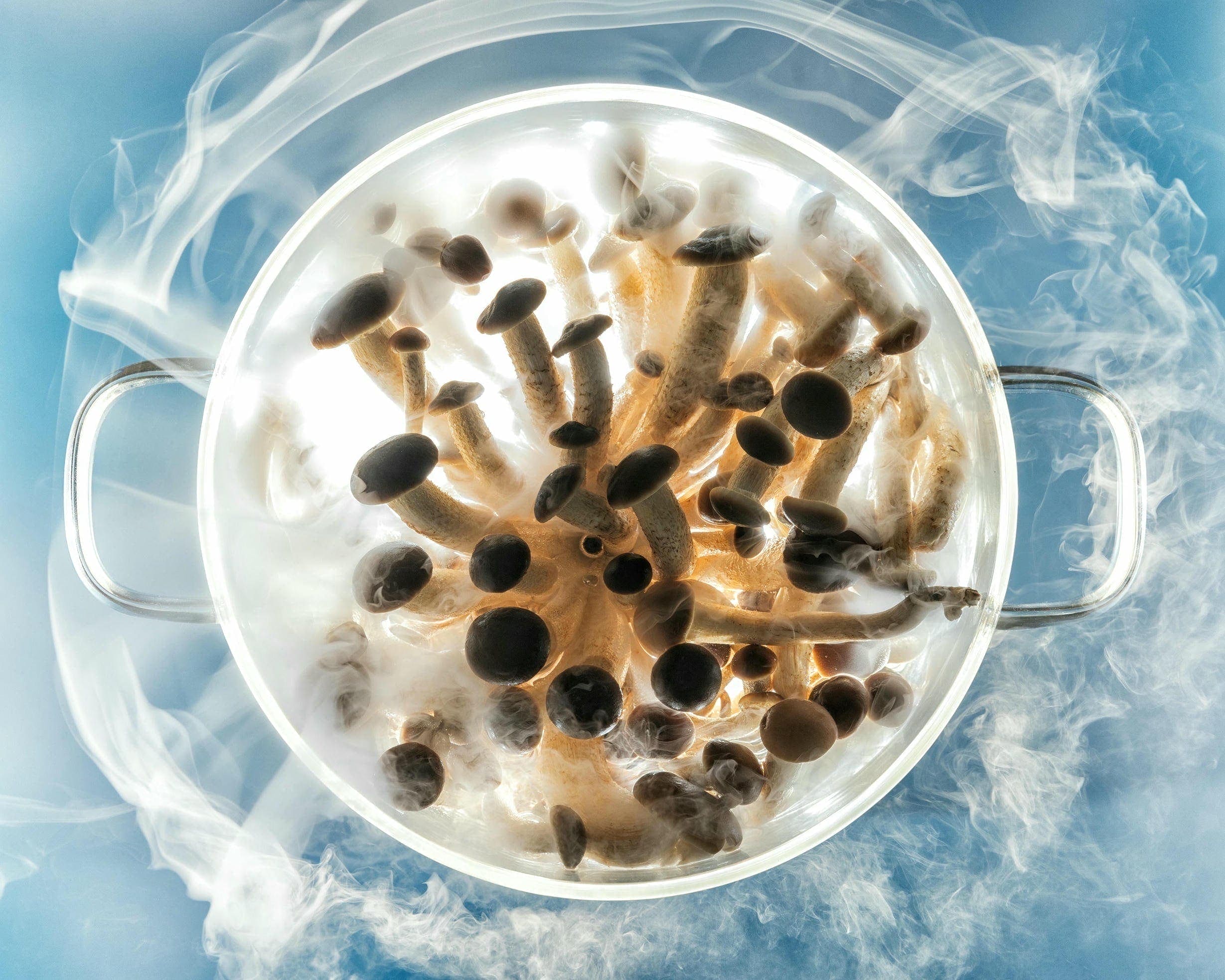 Sky Mushrooms
