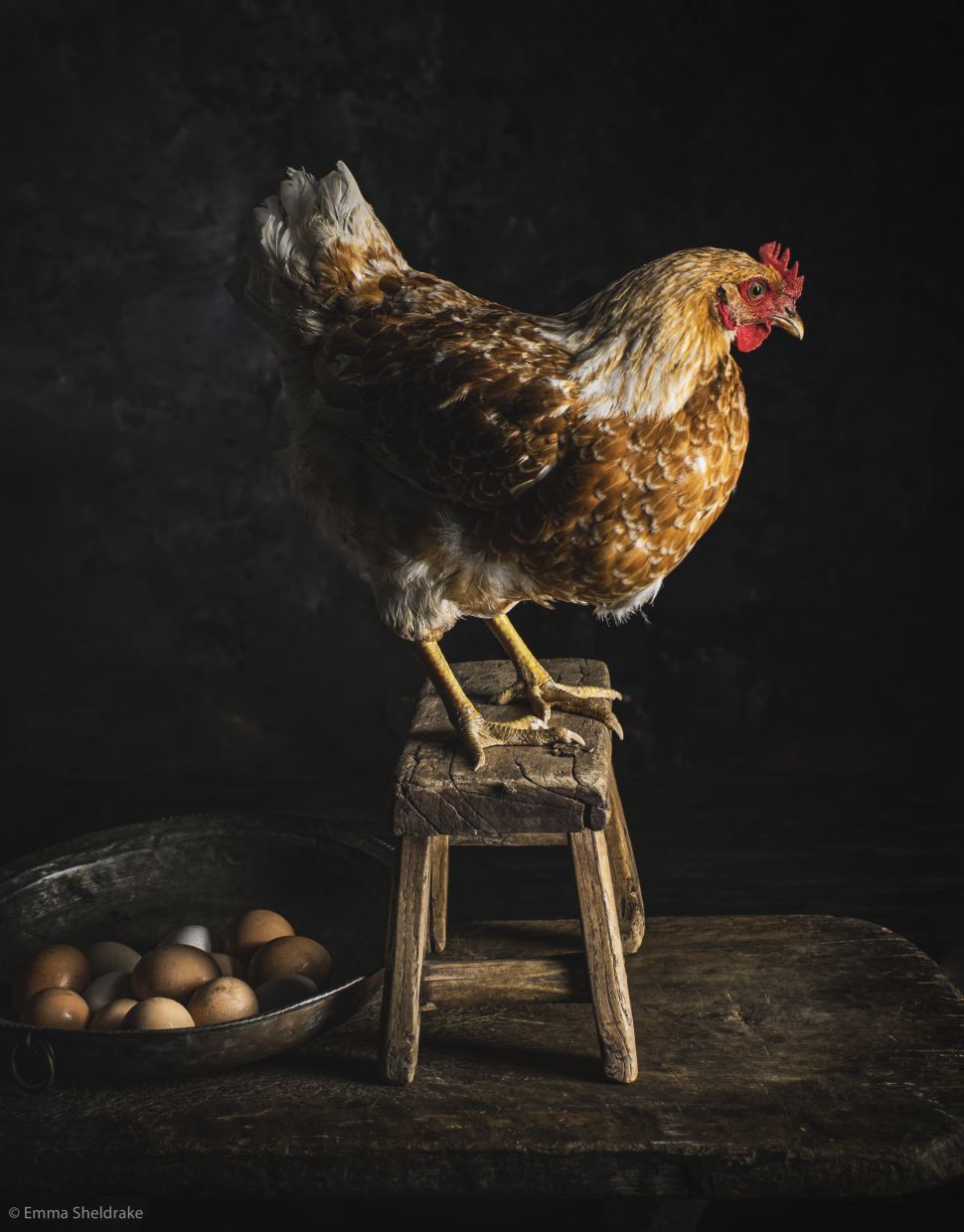 Food Photographer of the Year 2021 11