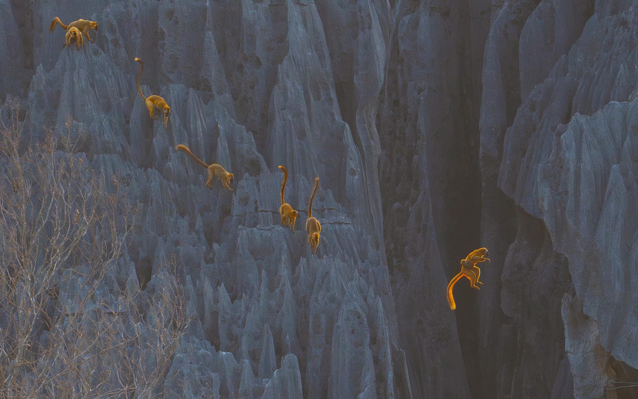 "Leap of Faith" - Bức ảnh đoạt giải Grand Prize tại cuộc thi BigPicture 2025