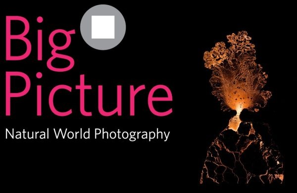Cuộc thi Nhiếp ảnh thiên nhiên BigPicture 2025