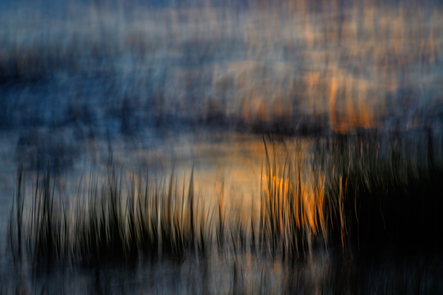 “Abstraction” của Katja Manski