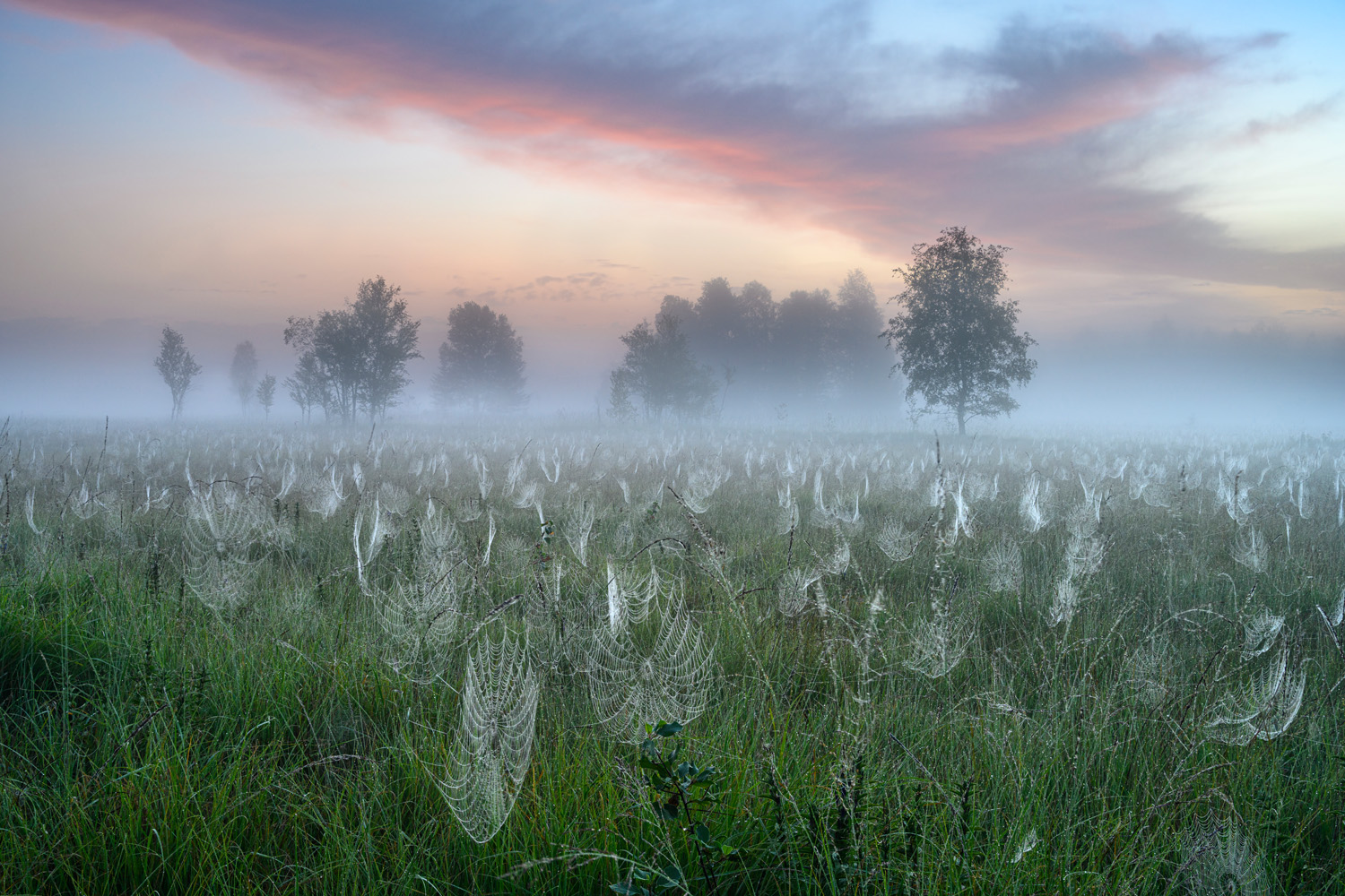 “Misty morning” của Andreas Volz