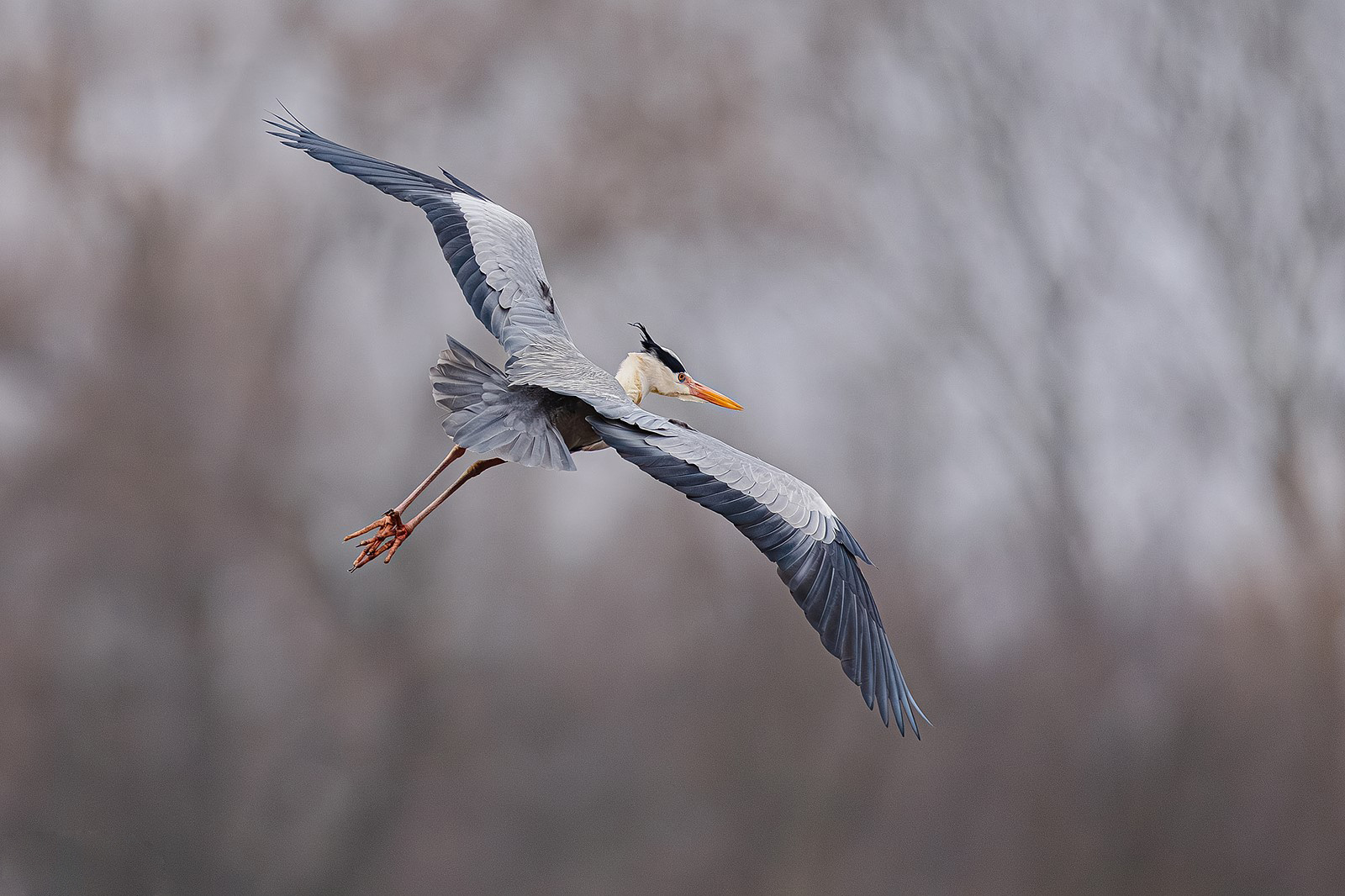 danh-gia-Sigma-300-600mm-f4-27
