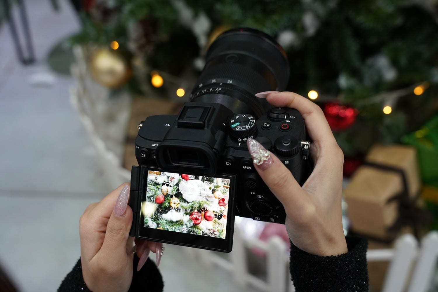 A7 Mark 5 hỗ trợ quay 4:2:2 10-bit với S Log/ S Log2