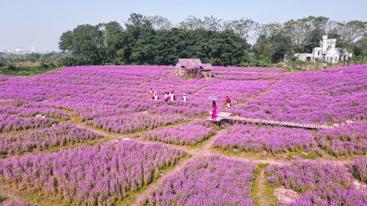 địa điểm chụp ảnh tết hà nội