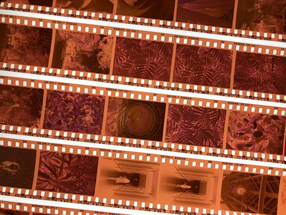 Tại sao film âm bản lại có màu cam?