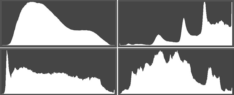 Sự thật, có rất nhiều dạng biểu đồ Histogram khác nhau cho mỗi bức ảnh