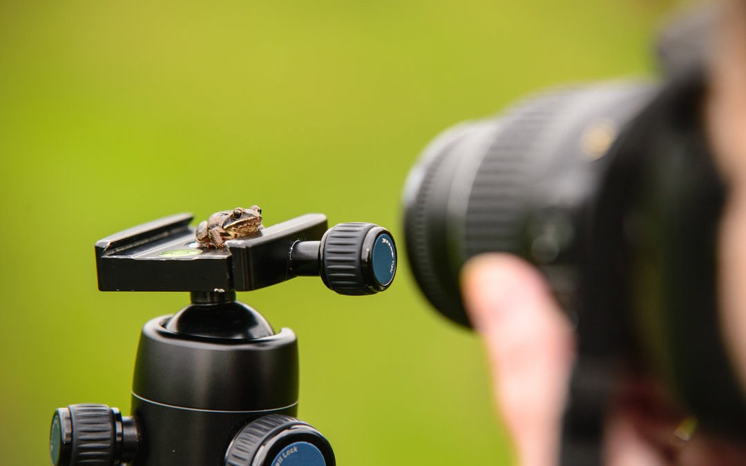 Thời điểm lý tưởng là buổi sáng khi mặt trời ở góc 45 độ